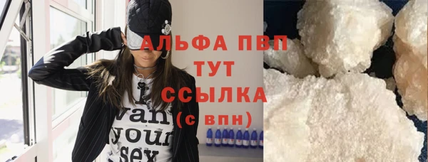 PSILOCYBIN Балахна