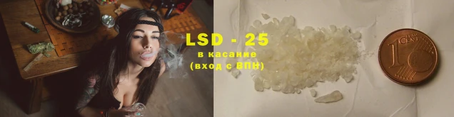 PSILOCYBIN Балахна